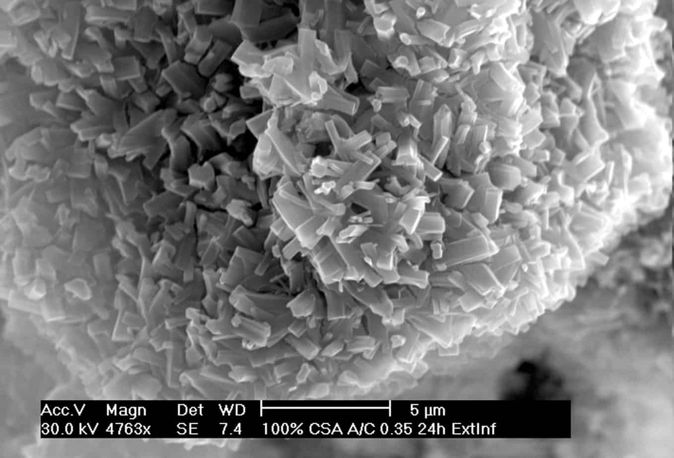 La scansione eseguita su Next Base con il microscopio elettronico a 24 ore dall’idratazione: sono evidenti i cristalli di ettringite non espansiva con la loro tipica forma prismatica