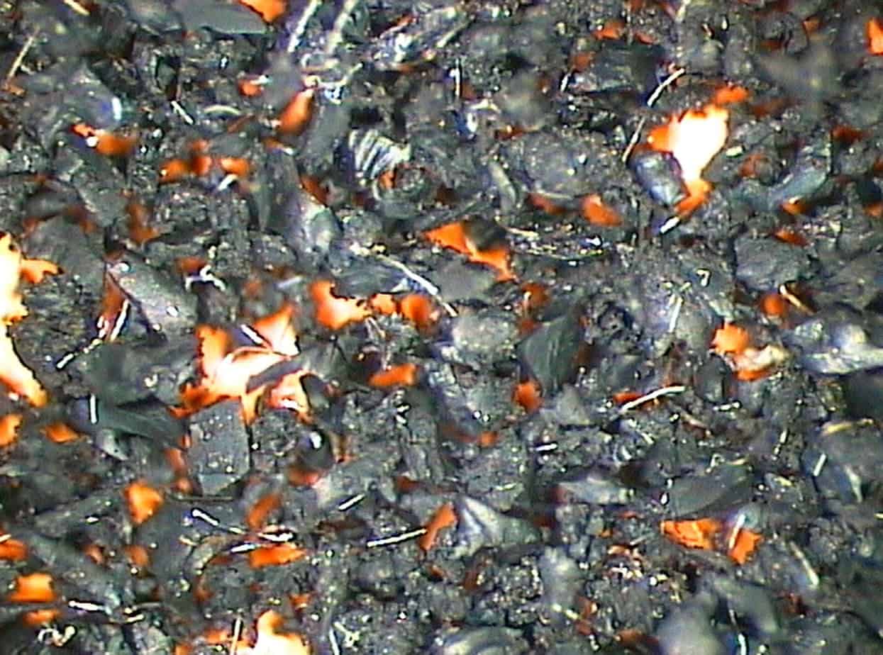 Un’immagine di polverino da PFU acquisita con stereomicroscopio (ingrandimento 2,5X)