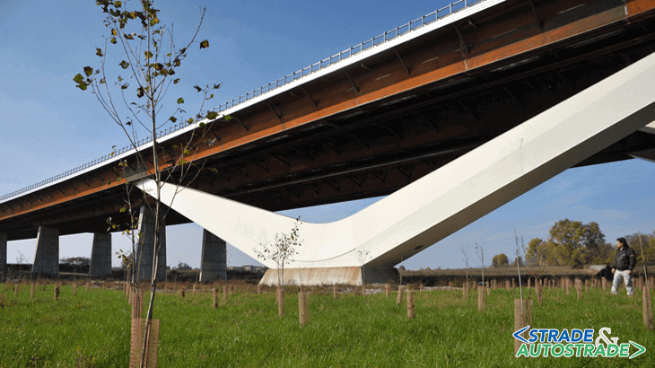 Nuove piantumazioni sotto il viadotto Lambro di A58-TEEM